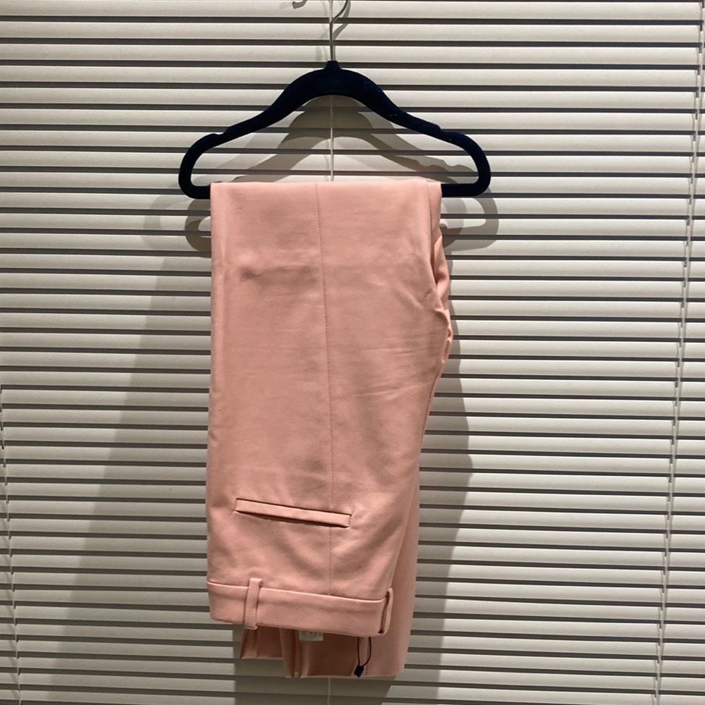 Soft pink Zara pant with slit at ankle. Zipper on left side of waste.